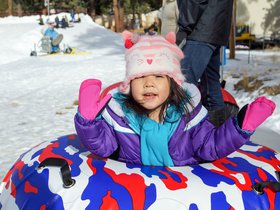 Bear Snow Play 2015